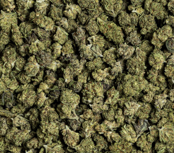 White Widow small buds – cogollos pequeños CBD de calidad