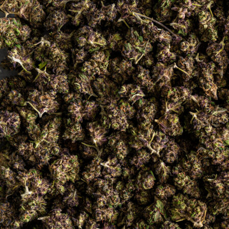 Cogollos CBD Purple Punch Small Buds de alta calidad, envío rápido, flores de cáñamo económicas y legales en España