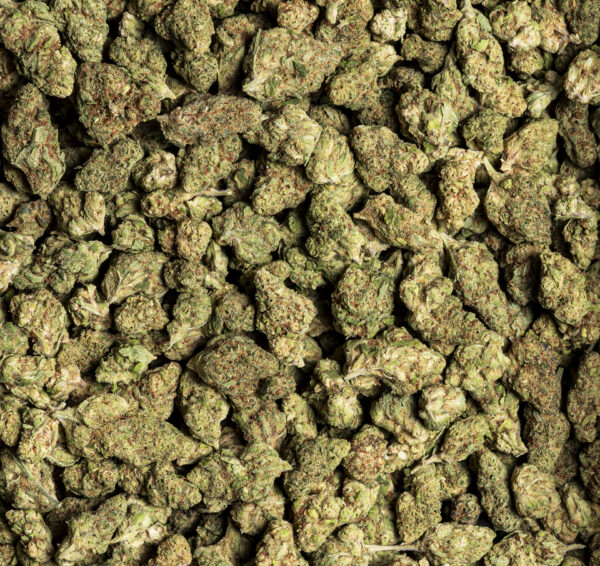 Super Lemon Haze Small Buds – cogollos pequeños de CBD con aroma cítrico intenso