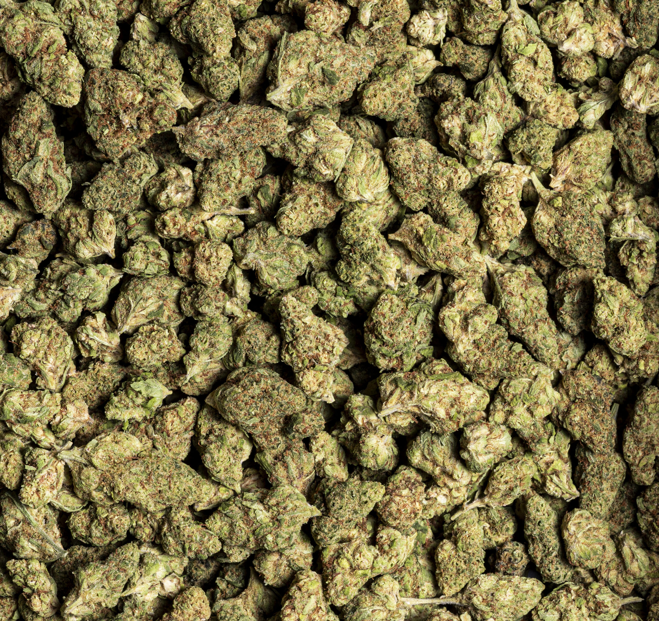 Super Lemon Haze Small Buds – cogollos pequeños de CBD con aroma cítrico intenso