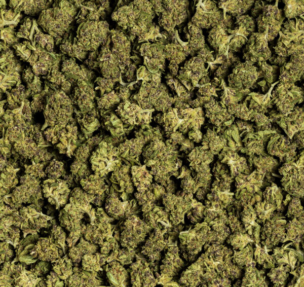 CBD BARATO Y DE CALIDAD SMALL BUDS INDOOR