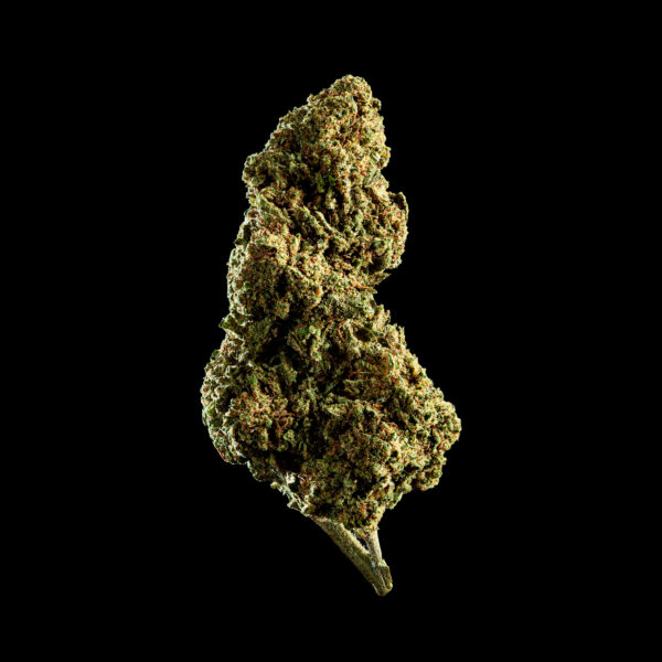 BUBBLEGUM - CBD Premium