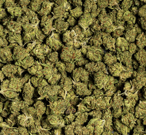 Cogollos pequeños DOSIDOS CBD calidad alta, flor greenhouse compacta, resinosa y económica. Ideal para quienes buscan comprar cogollos CBD premium al mejor precio.