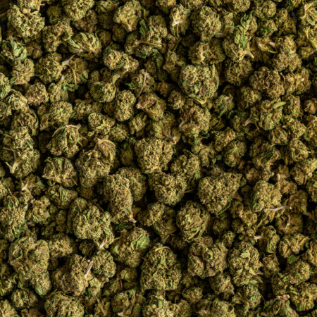 Mango Small Buds CBD Premium – Flores CBD pequeñas, dulces y económicas disponibles online en EFECTO CBD Store