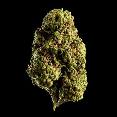 "citrus haze cbd"