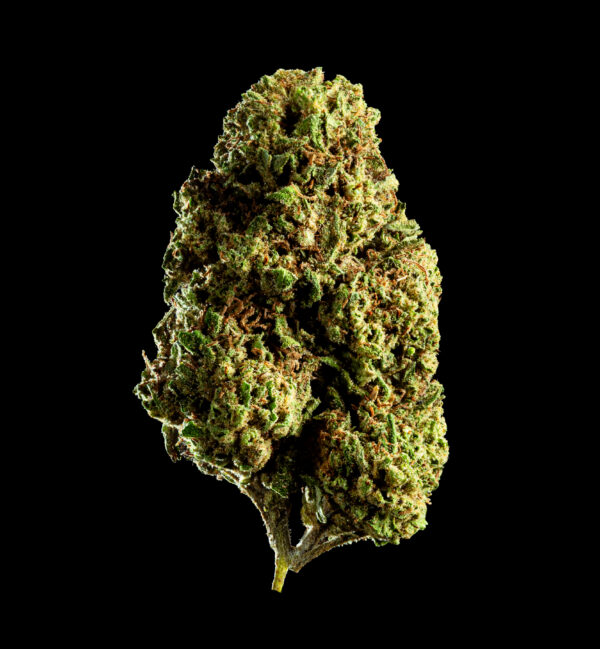 "citrus haze cbd"