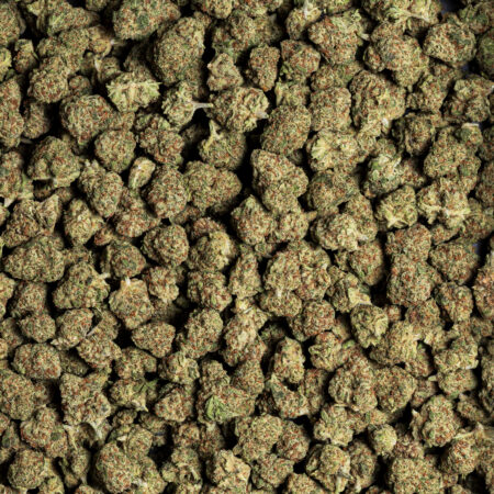 "GIRL SCOUT COOKIES CBD"