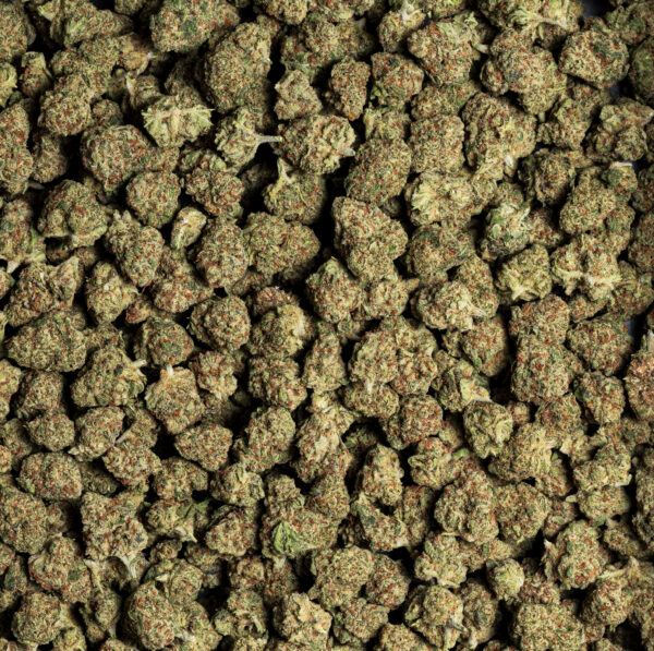 "GIRL SCOUT COOKIES CBD"
