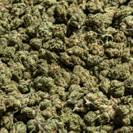 Amnesia Small Buds CBD – Flores pequeñas, verdes y resinosas con aroma cítrico y herbal | EFECTO CBD