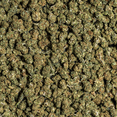 comprar cheese cbd