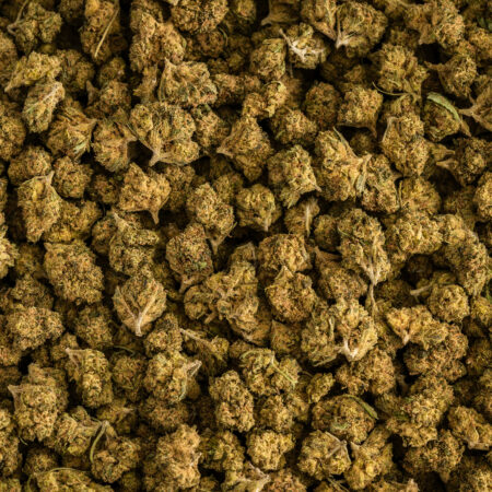 ORANGE SUNSET Small Buds flor CBD con aroma cítrico, naranja dulce y cogollos duros
