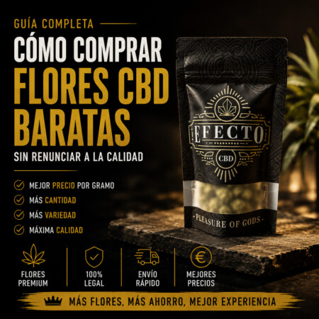 Summer Pack 100 con 100 gramos de flores CBD en formato ahorro