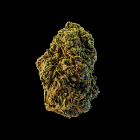 PURPLE LEMON flor CBD calidad alta con cogollos resinosos y matices morados