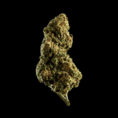 SUPER SKUNK flor CBD calidad alta con cogollos compactos y aspecto resinoso