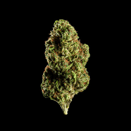 WHITE WIDOW flor CBD calidad alta con cogollos compactos y aspecto resinoso